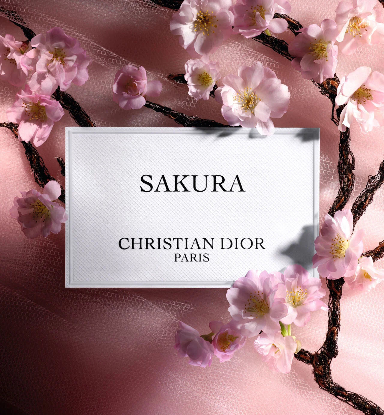 Sakura 100ml