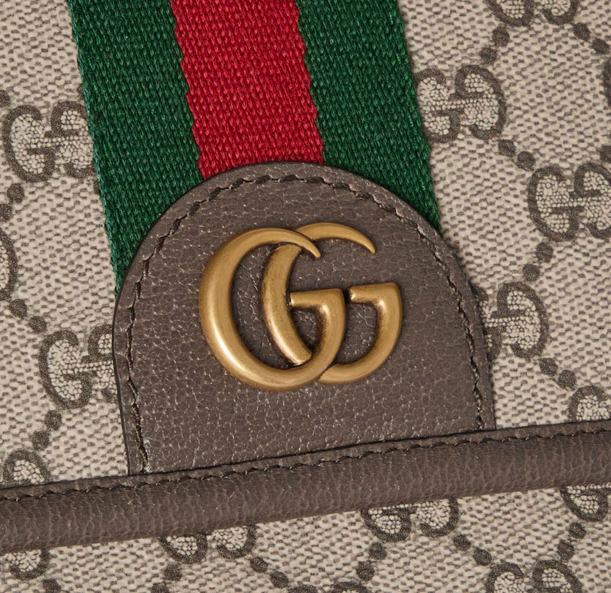 Sac à Bandoulière Ophidia GG