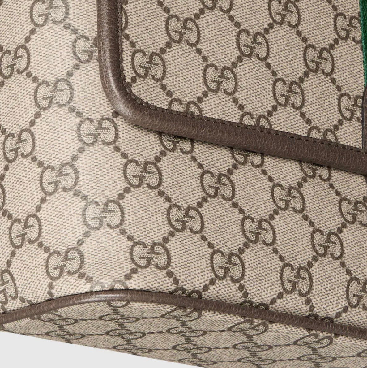 Sac à Bandoulière Ophidia GG